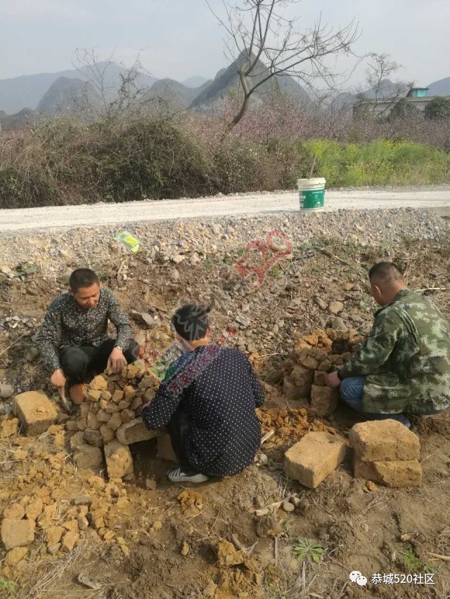 嘉会太平村满园桃色，简直美得不要不要的，想这周末跟小编一起桃园打窑仔的看过来！564 / 作者:社区小编 / 帖子ID:193413