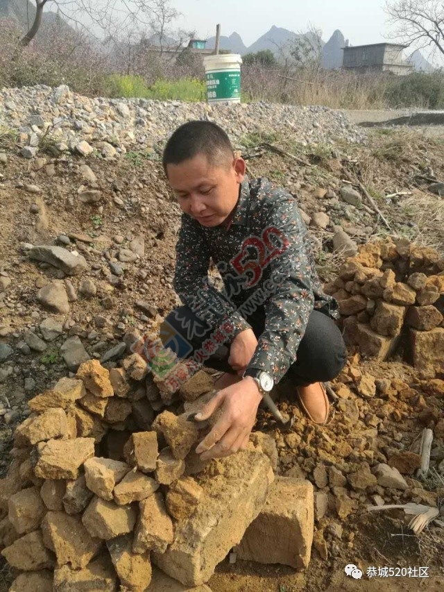 嘉会太平村满园桃色，简直美得不要不要的，想这周末跟小编一起桃园打窑仔的看过来！381 / 作者:社区小编 / 帖子ID:193413