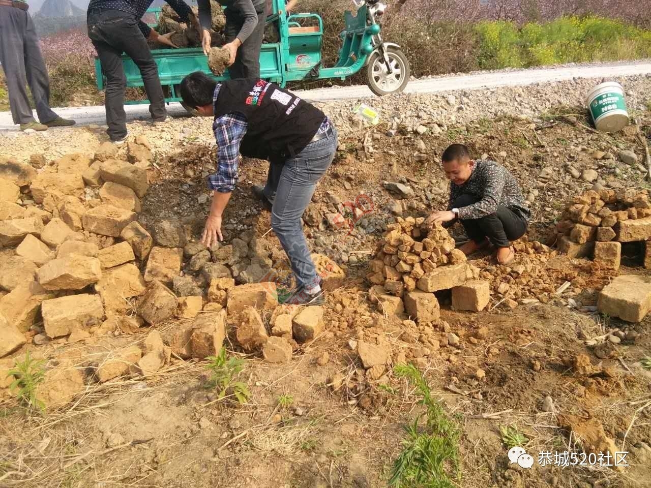 嘉会太平村满园桃色，简直美得不要不要的，想这周末跟小编一起桃园打窑仔的看过来！92 / 作者:社区小编 / 帖子ID:193413