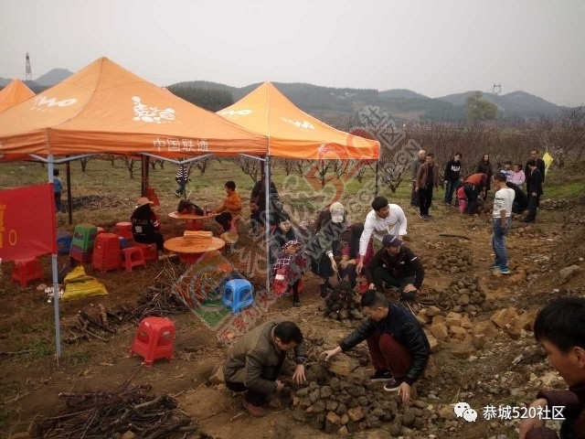 嘉会太平村桃园打窑仔活动继续中，另网友爆料：进入西岭大岭山桃园将被罚款！231 / 作者:社区小编 / 帖子ID:193877