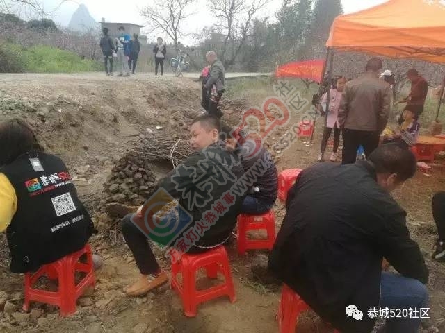 嘉会太平村桃园打窑仔活动继续中，另网友爆料：进入西岭大岭山桃园将被罚款！698 / 作者:社区小编 / 帖子ID:193877