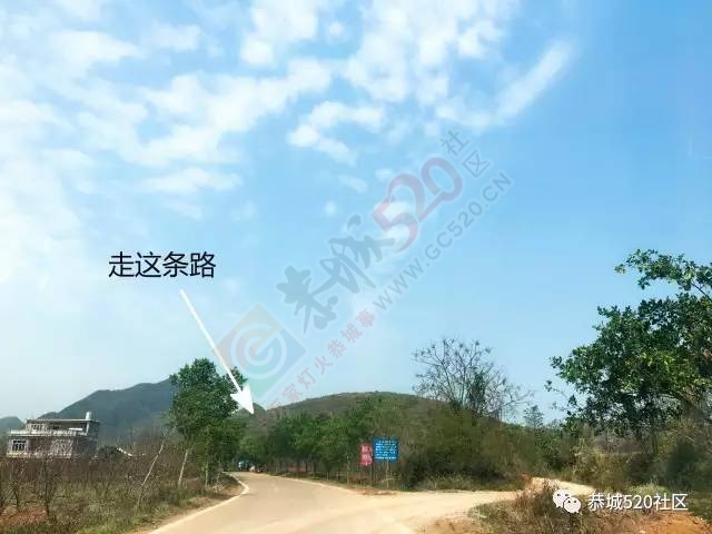 恭城附近又有一处免费踏青游玩的好地方，拍出的照片美到不行！242 / 作者:社区小编 / 帖子ID:193887