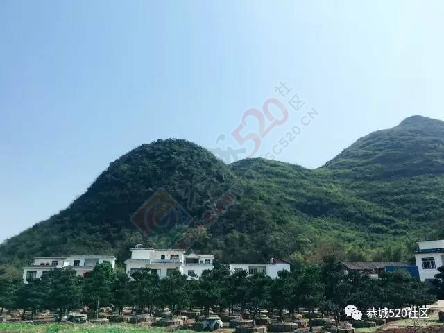 恭城附近又有一处免费踏青游玩的好地方，拍出的照片美到不行！209 / 作者:社区小编 / 帖子ID:193887