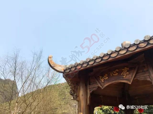恭城附近又有一处免费踏青游玩的好地方，拍出的照片美到不行！291 / 作者:社区小编 / 帖子ID:193887