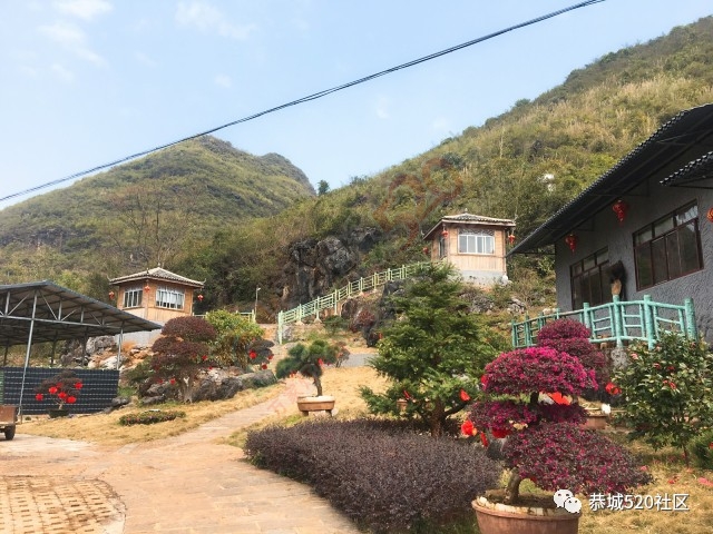 恭城附近又有一处免费踏青游玩的好地方，拍出的照片美到不行！917 / 作者:社区小编 / 帖子ID:193887