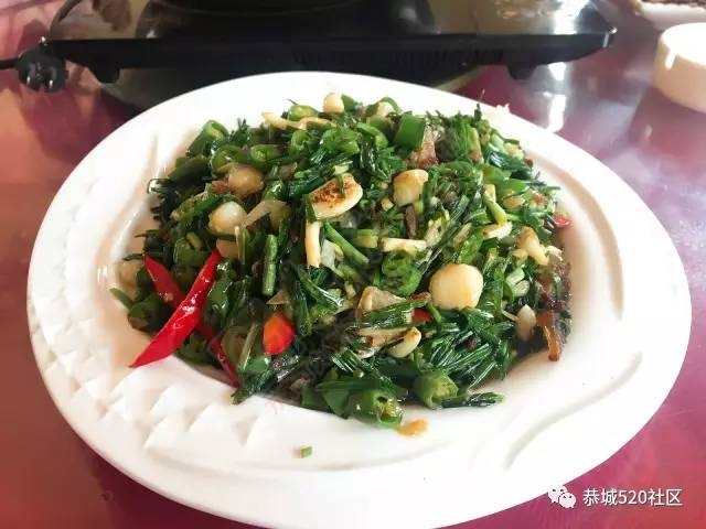 恭城附近又有一处免费踏青游玩的好地方，拍出的照片美到不行！152 / 作者:社区小编 / 帖子ID:193887