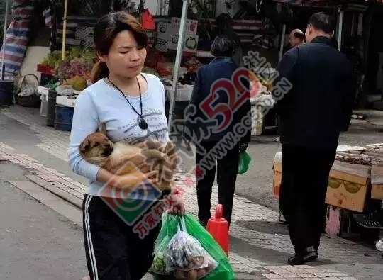 绝了！恭城一男把爷赤裸裸对比恭城妹崽鬼和小嫂子的差别，看完扎心！704 / 作者:社区小编 / 帖子ID:193899