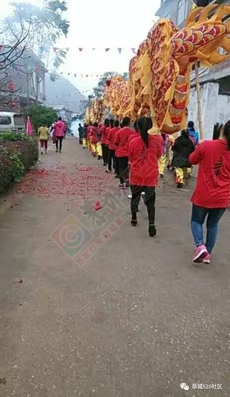 今天莲花这个村子格外热闹，还有精彩的舞龙舞狮，不看太可惜了！832 / 作者:社区小编 / 帖子ID:194175