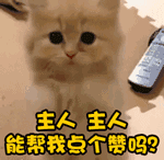 今天莲花这个村子格外热闹，还有精彩的舞龙舞狮，不看太可惜了！277 / 作者:社区小编 / 帖子ID:194175