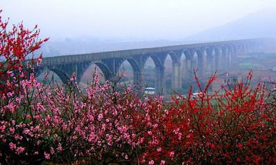青年渡槽建成四十周年等活动乘车安排55 / 作者:青草文学 / 帖子ID:194214
