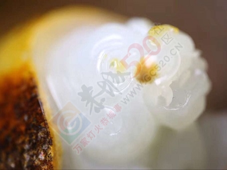 转让一只新疆和田玉龙龟654 / 作者:晚霞行千里 / 帖子ID:194565