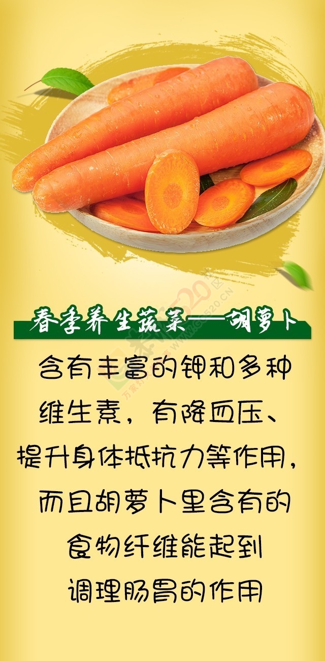 春天吃一物，补肾养肝还抗衰老作用真不少！164 / 作者:疾控客服 / 帖子ID:197437