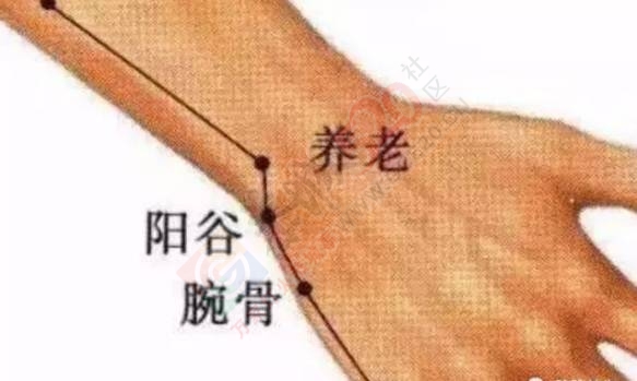 这里每天捏3下，治好“近视和老花眼”，人人都能做734 / 作者:疾控客服 / 帖子ID:198117