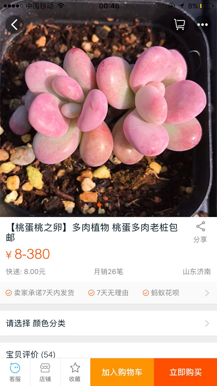 恭城哪里可以卖到便宜的肉肉。577 / 作者:澄橙妈 / 帖子ID:198433