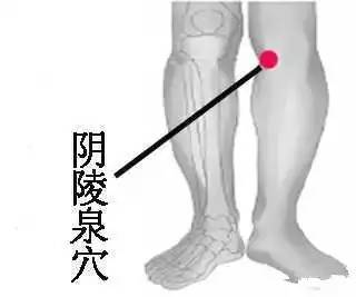 “十人九湿”，万病皆始于湿！找准5个穴位每天按摩1分钟，有奇效！723 / 作者:疾控客服 / 帖子ID:198479