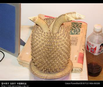 求购新分票或分币菠萝152 / 作者:2933113574 / 帖子ID:198899