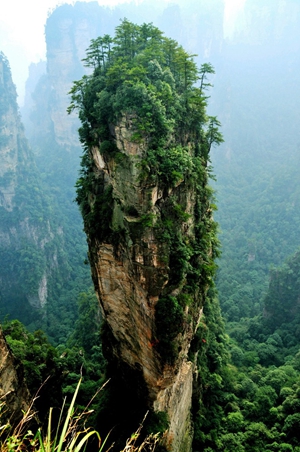 我与闺蜜们圆梦张家界阿凡达之旅的美好旅程790 / 作者:生活悠悠过 / 帖子ID:202339