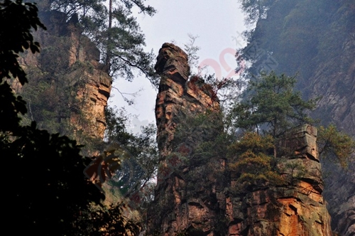 我与闺蜜们圆梦张家界阿凡达之旅的美好旅程212 / 作者:生活悠悠过 / 帖子ID:202339