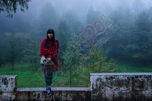 我与闺蜜们圆梦张家界阿凡达之旅的美好旅程386 / 作者:生活悠悠过 / 帖子ID:202339