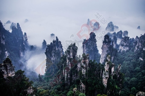 我与闺蜜们圆梦张家界阿凡达之旅的美好旅程535 / 作者:生活悠悠过 / 帖子ID:202339