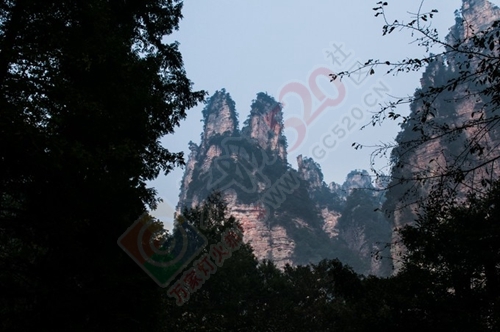 我与闺蜜们圆梦张家界阿凡达之旅的美好旅程801 / 作者:生活悠悠过 / 帖子ID:202339