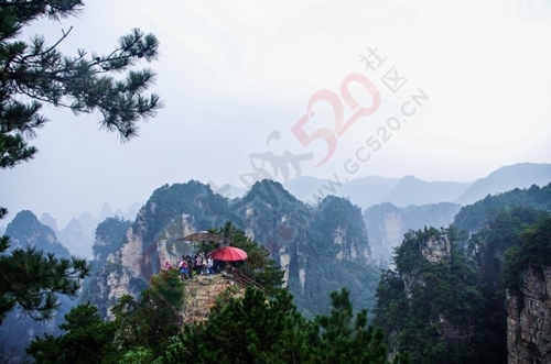 我与闺蜜们圆梦张家界阿凡达之旅的美好旅程212 / 作者:生活悠悠过 / 帖子ID:202339