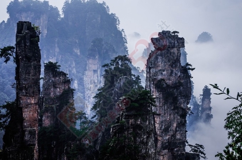 我与闺蜜们圆梦张家界阿凡达之旅的美好旅程717 / 作者:生活悠悠过 / 帖子ID:202339