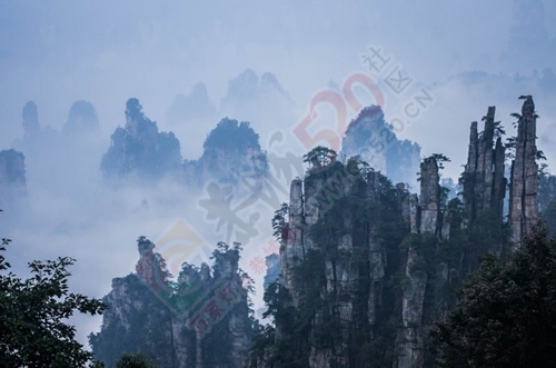 我与闺蜜们圆梦张家界阿凡达之旅的美好旅程750 / 作者:生活悠悠过 / 帖子ID:202339