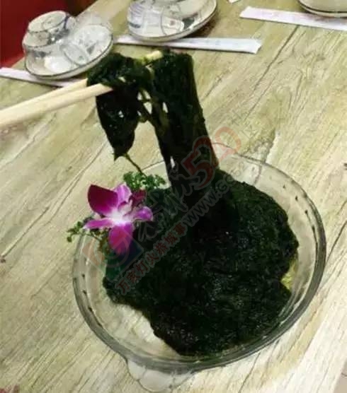 明明是素菜，却“鲜”的敢跟大鱼大虾大海螺叫板！182 / 作者:绎苒 / 帖子ID:202367