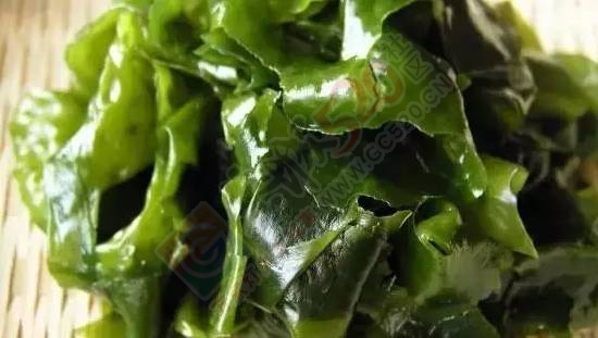 明明是素菜，却“鲜”的敢跟大鱼大虾大海螺叫板！447 / 作者:绎苒 / 帖子ID:202367