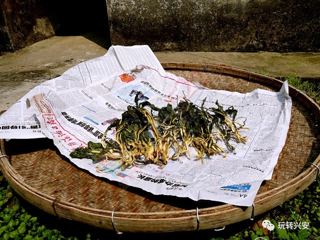 兴安一美女摘回一扎白菜花，回到家竟变成了这样……331 / 作者:一路坚持 / 帖子ID:206746