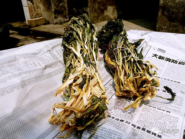 兴安一美女摘回一扎白菜花，回到家竟变成了这样……923 / 作者:一路坚持 / 帖子ID:206746