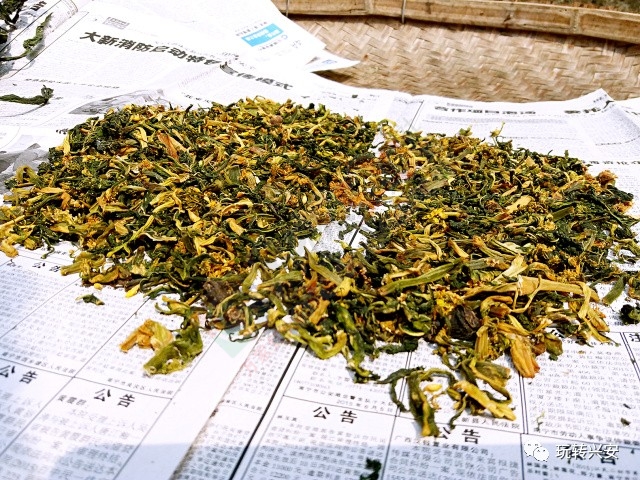 兴安一美女摘回一扎白菜花，回到家竟变成了这样……626 / 作者:一路坚持 / 帖子ID:206746