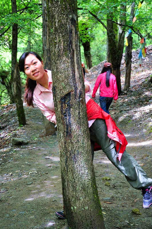 我们的云南追梦之旅891 / 作者:柠檬树和吉他 / 帖子ID:206763