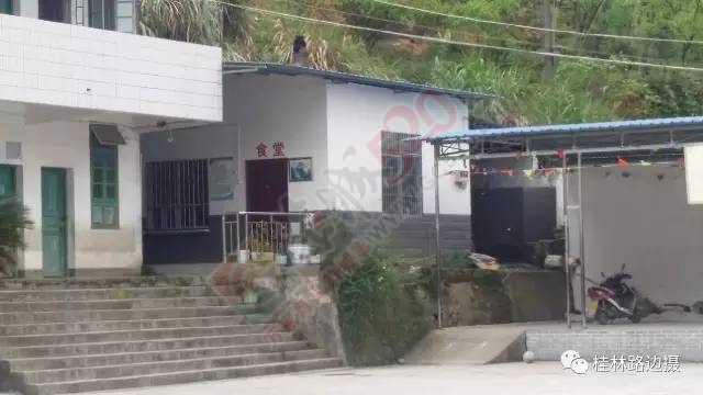 【调查追问 】恭城黄泥岗数十学生胃肠不适 相关检测都无法解释 疑因植物毒素惹祸471 / 作者:一路坚持 / 帖子ID:207077