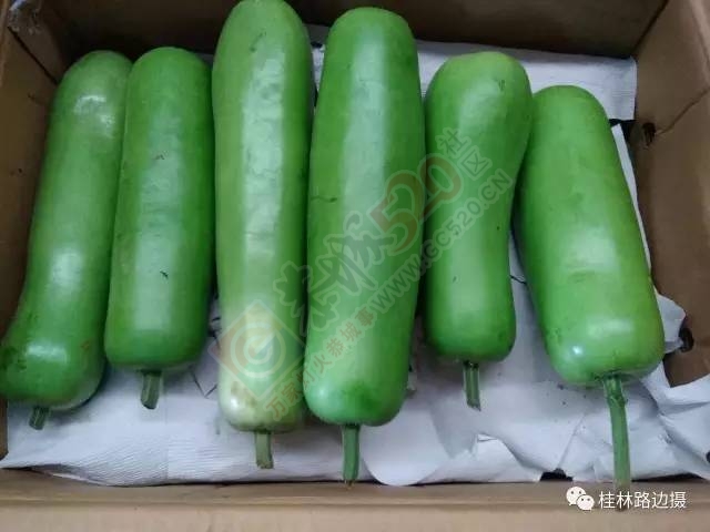 【调查追问 】恭城黄泥岗数十学生胃肠不适 相关检测都无法解释 疑因植物毒素惹祸797 / 作者:一路坚持 / 帖子ID:207077