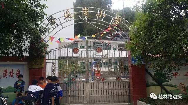 【调查追问 】恭城黄泥岗数十学生胃肠不适 相关检测都无法解释 疑因植物毒素惹祸128 / 作者:一路坚持 / 帖子ID:207077