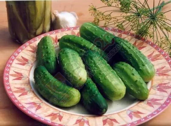 萝卜这样腌，不用菜也能吃下三碗饭716 / 作者:碧澄匀 / 帖子ID:207339