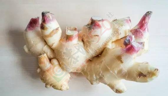 萝卜这样腌，不用菜也能吃下三碗饭910 / 作者:碧澄匀 / 帖子ID:207339