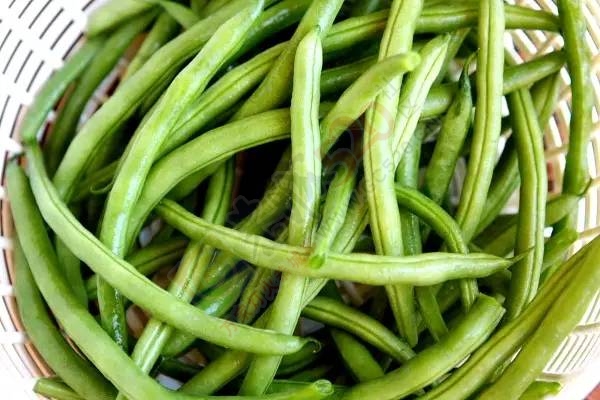 萝卜这样腌，不用菜也能吃下三碗饭296 / 作者:碧澄匀 / 帖子ID:207339