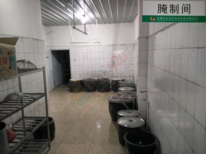 食品加工厂寻求合作或出租转让407 / 作者:康宸溪 / 帖子ID:207393