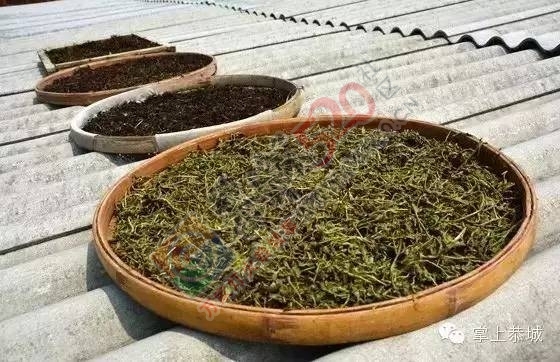 【今日谷雨】 恭城的你，有没有打算去摘谷雨茶呢？979 / 作者:一路坚持 / 帖子ID:207478