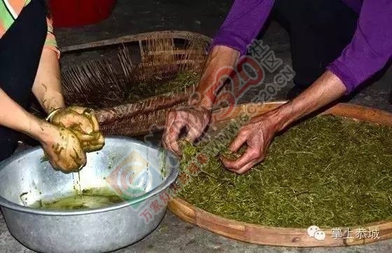 【今日谷雨】 恭城的你，有没有打算去摘谷雨茶呢？130 / 作者:一路坚持 / 帖子ID:207478