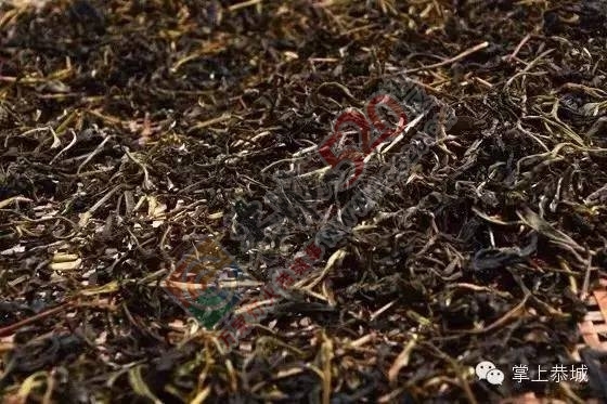 【今日谷雨】 恭城的你，有没有打算去摘谷雨茶呢？838 / 作者:一路坚持 / 帖子ID:207478