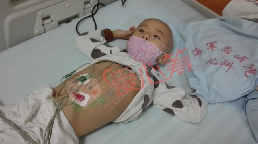 生死移植，为白血病患儿宾浩宇泣血求助618 / 作者:脚踏实地 / 帖子ID:207733