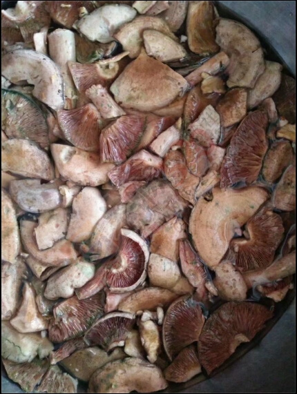 吃 好货 的 季节了波！197 / 作者:罗少爷 / 帖子ID:209210