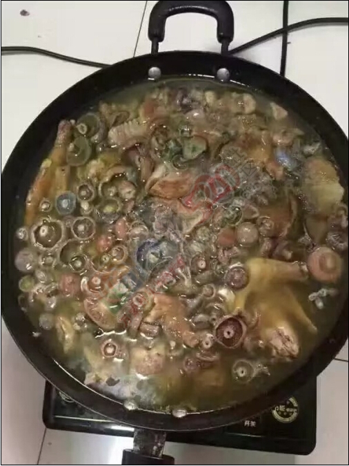 吃 好货 的 季节了波！488 / 作者:罗少爷 / 帖子ID:209210
