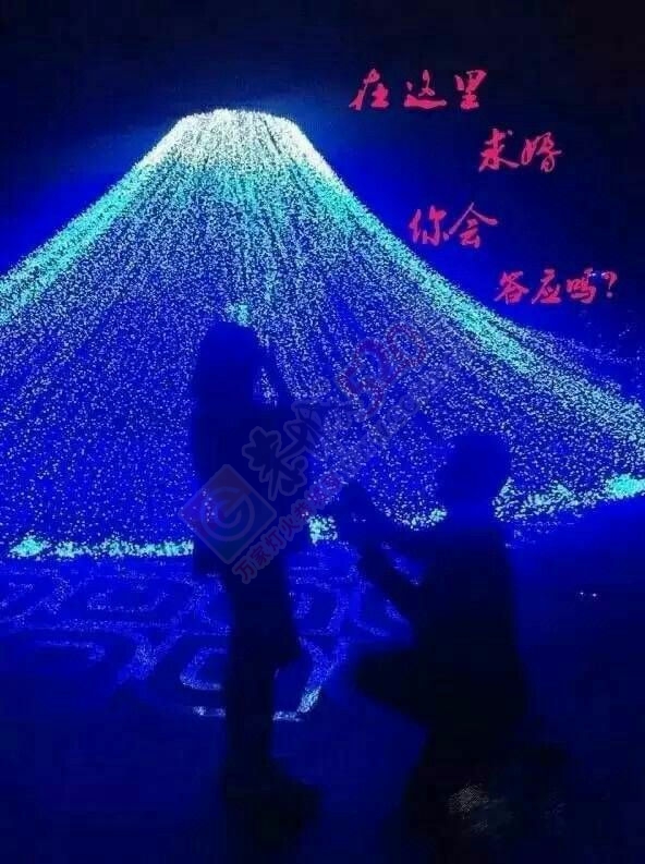 征婚582 / 作者:晴天_UGqgL / 帖子ID:218378