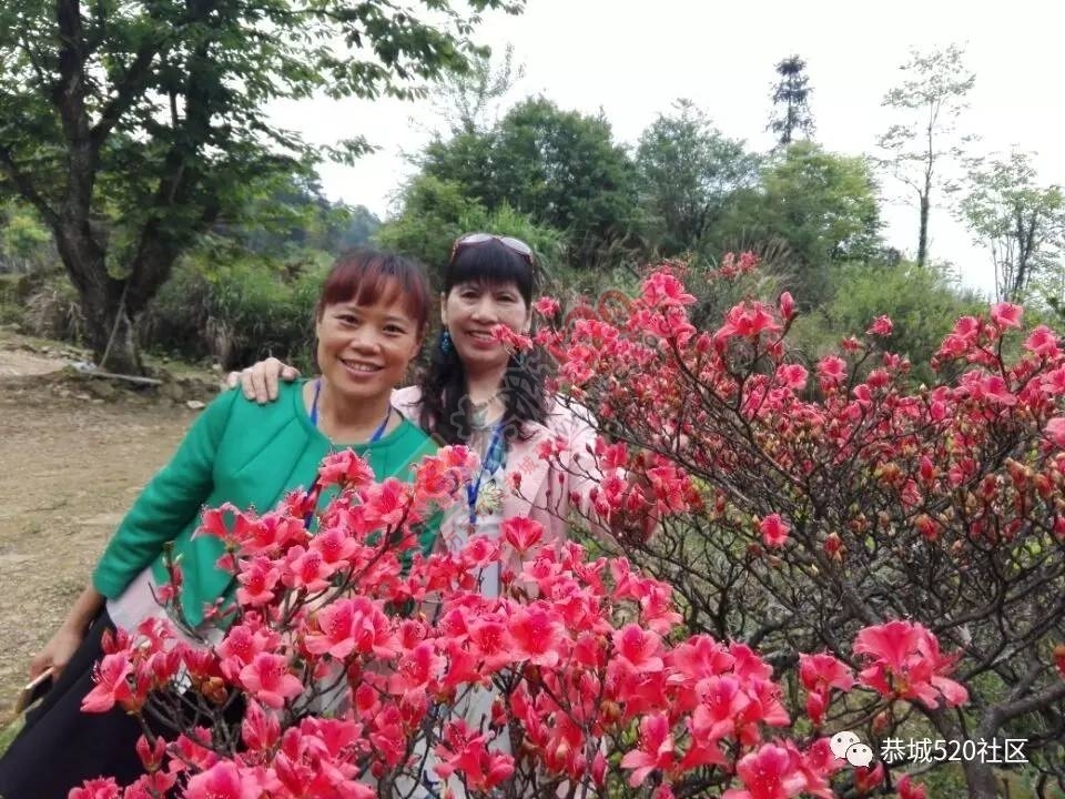 在恭城三江这个地方，我发现了一种聚会，比那些炫富的同学聚会有瘾多了！371 / 作者:社区小编 / 帖子ID:220588