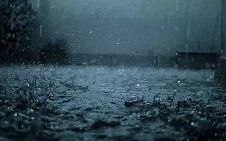 【江湖钓技】夏钓雨，鱼获满，但除了这几种雨天！136 / 作者:东门头人 / 帖子ID:221141
